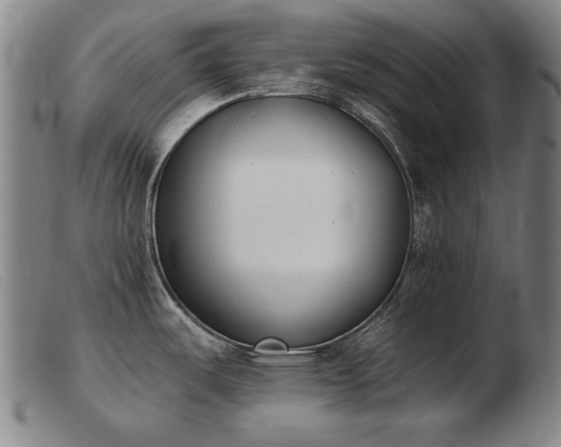 X0000103911487200809191250