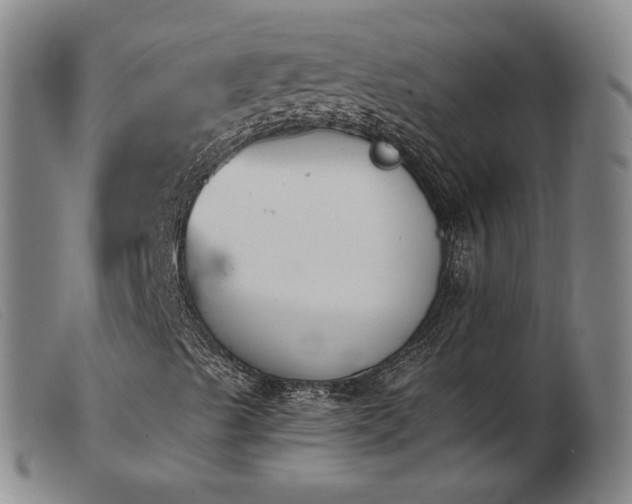 X0000103911489200809191249