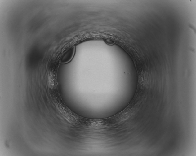 X0000103911490200809191249