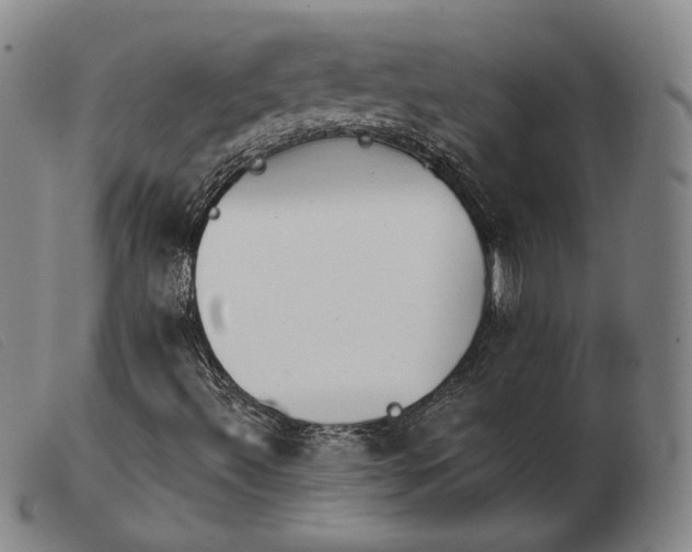 X0000103911492200809191249