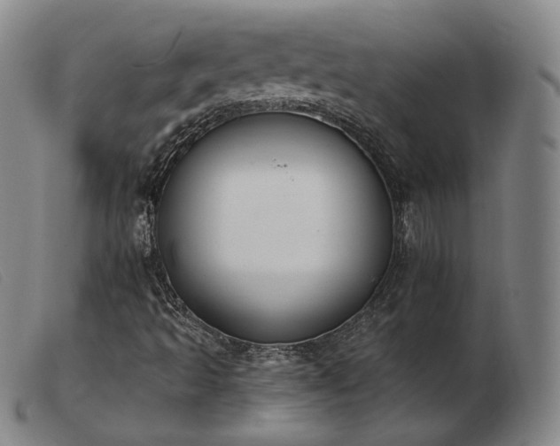 X0000103911493200809191249
