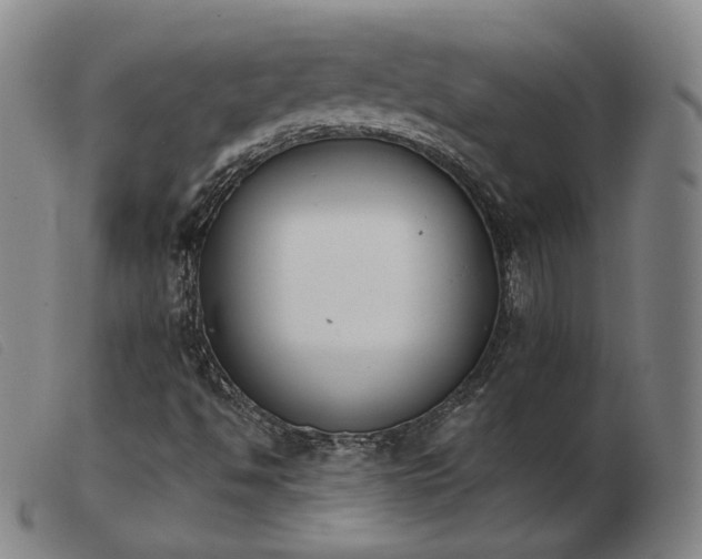 X0000103911494200809191249