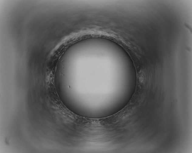 X0000103911495200809191249