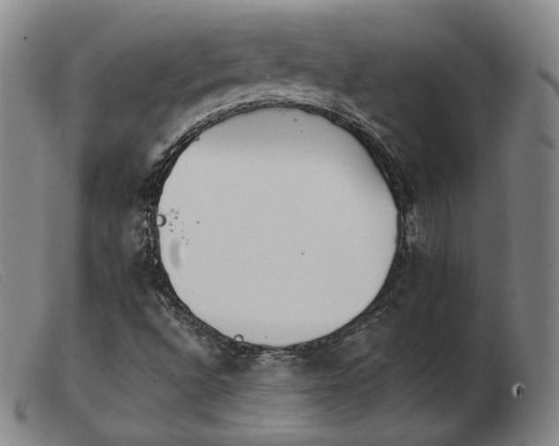 X0000103911496200809191249