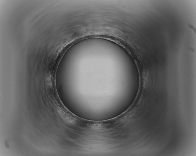 X0000103911497200809191249