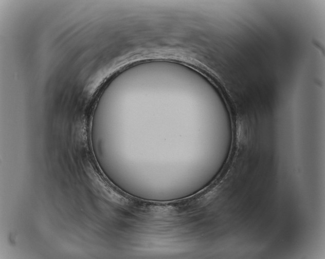 X0000103911498200809191249