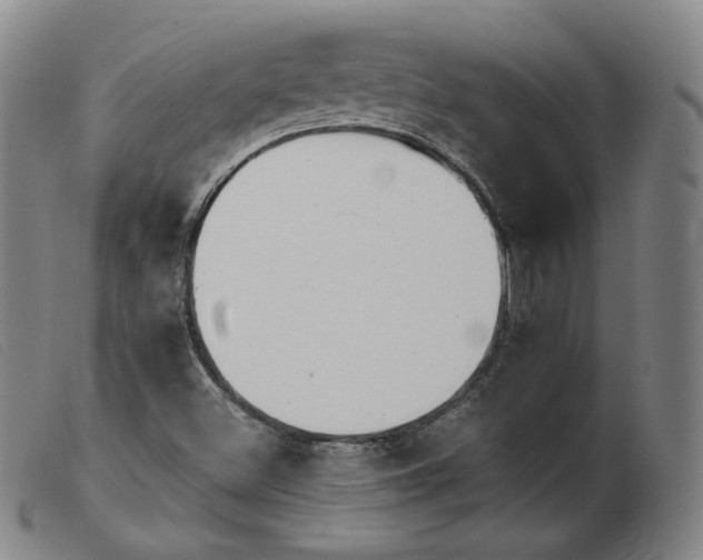 X0000103911500200809191250