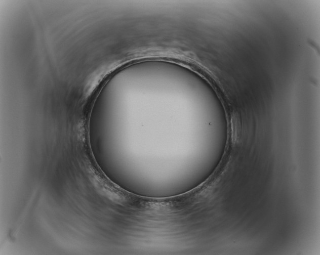 X0000103911501200809191250