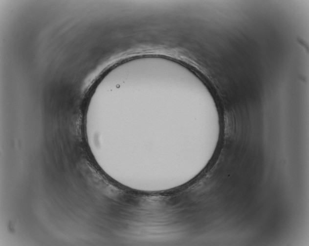 X0000103911502200809191250