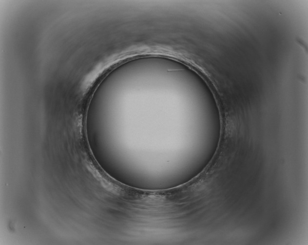 X0000103911503200809191250