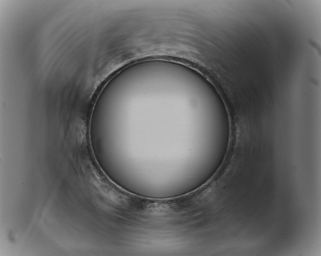 X0000103911505200809191250