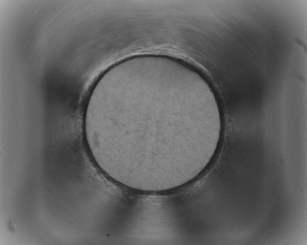 X0000103911506200809191250