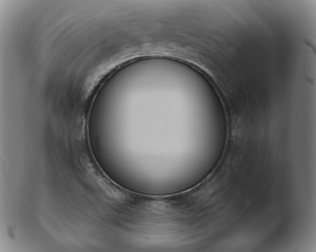 X0000103911507200809191250