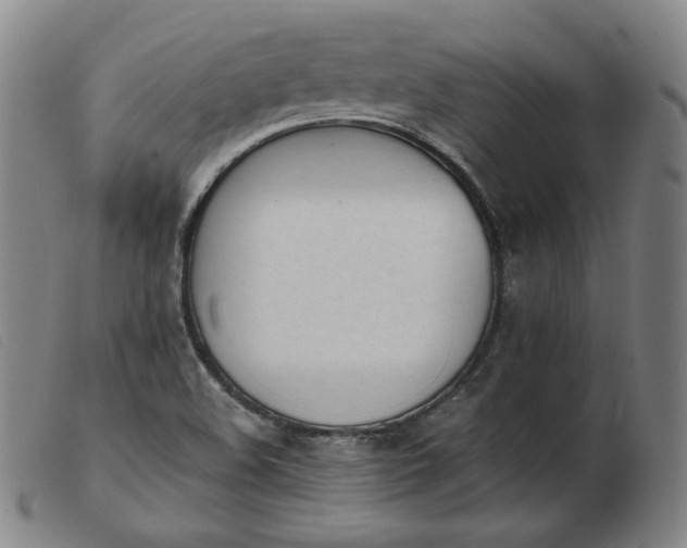 X0000103911508200809191250
