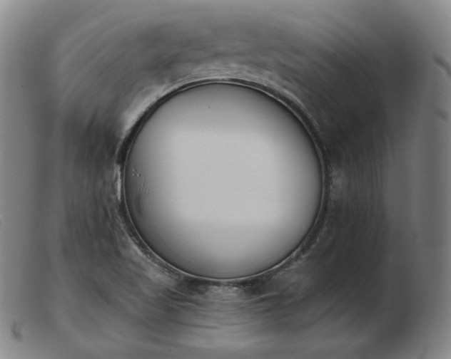 X0000103911509200809191250
