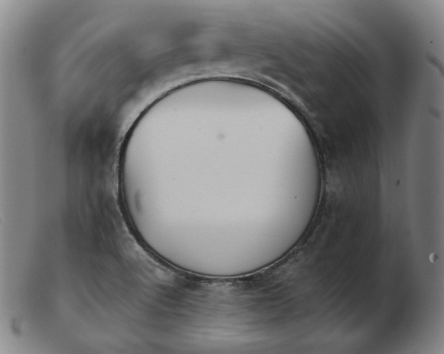 X0000103911512200809191250
