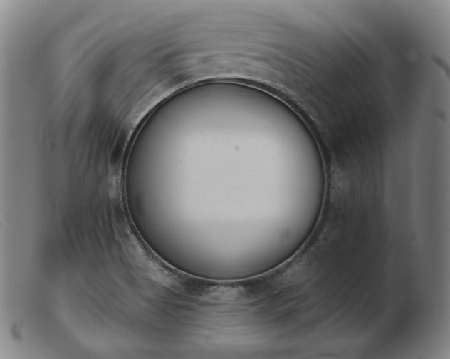 X0000103911513200809191250