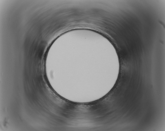 X0000103911514200809191250