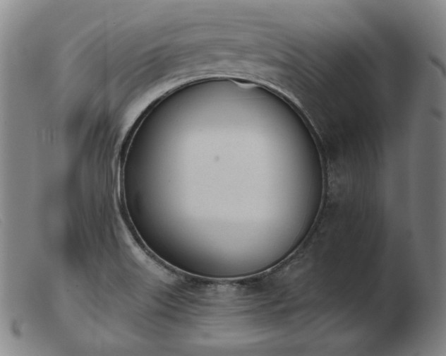 X0000103911515200809191250