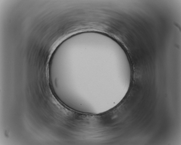 X0000103911516200809191250