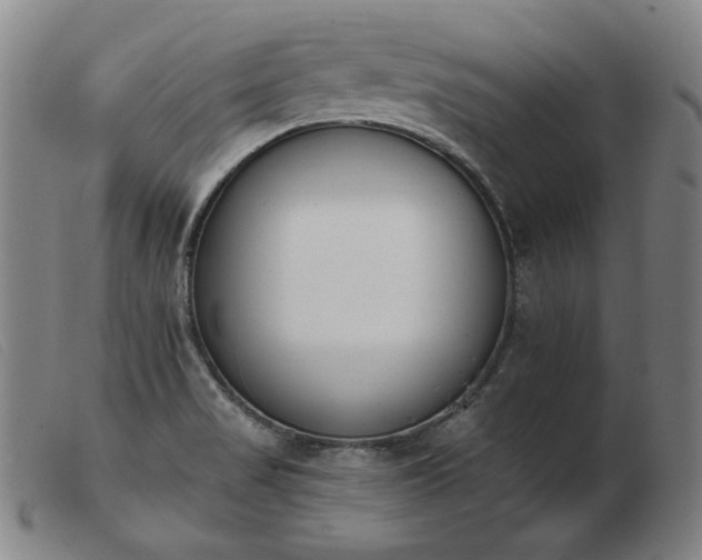 X0000103911517200809191250
