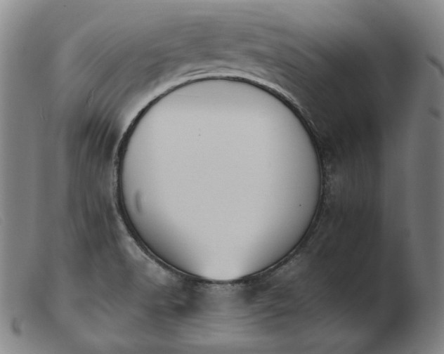 X0000103911518200809191250