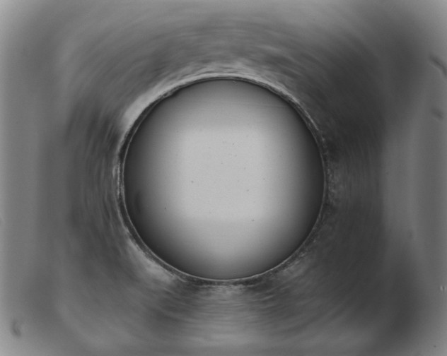 X0000103911519200809191250