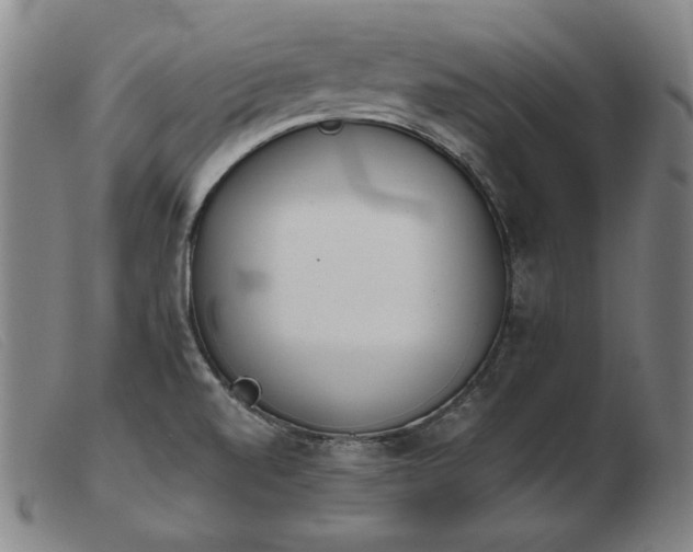 X0000103911520200809191250