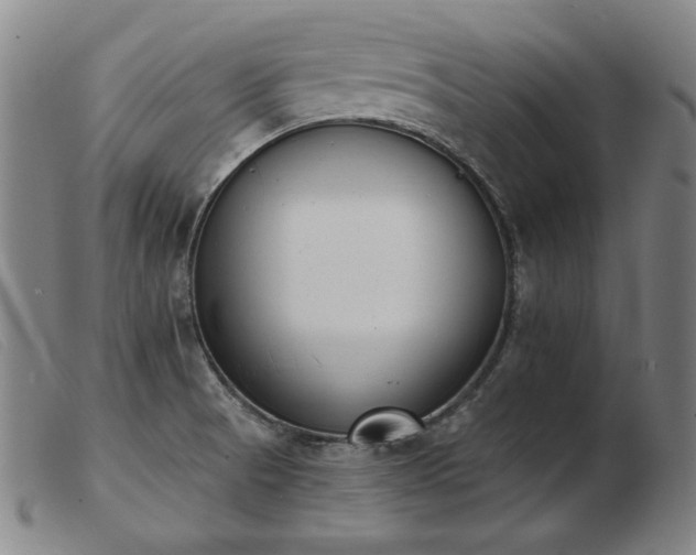 X0000103911521200809191250