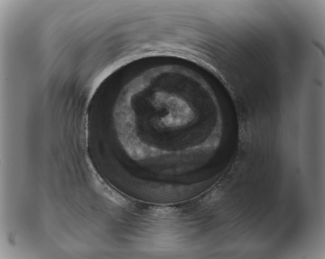 X0000103911522200809191250