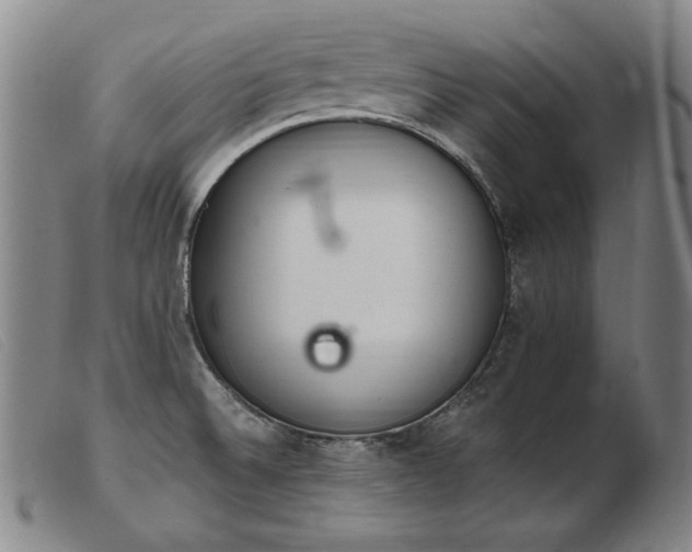 X0000103911524200809191250