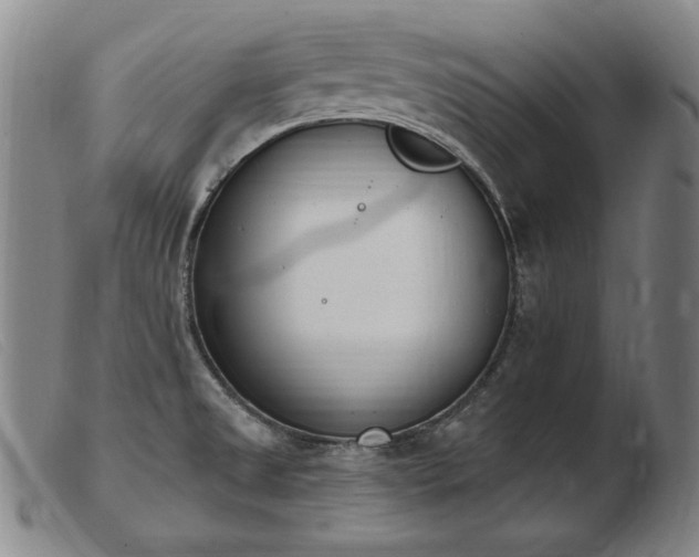 X0000103911525200809191250