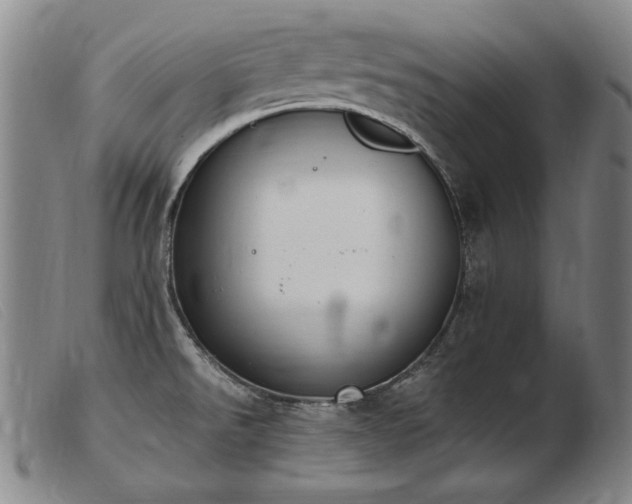 X0000103911526200809191250