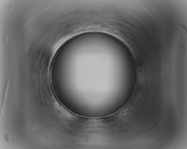 X0000103911527200809191250