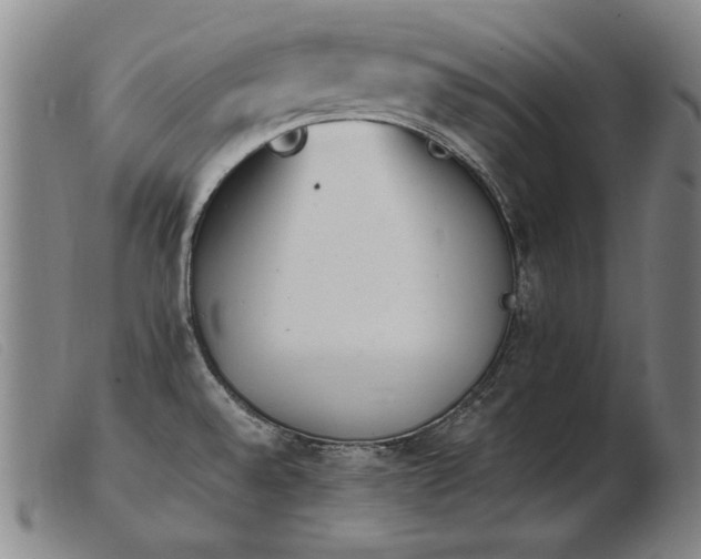 X0000103911528200809191250