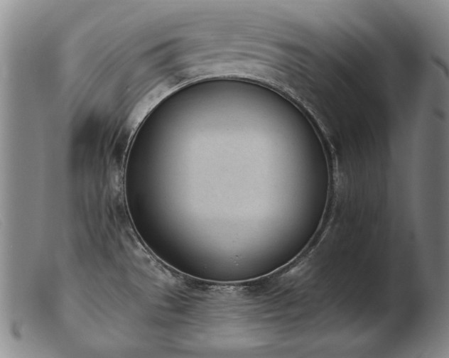 X0000103911529200809191250