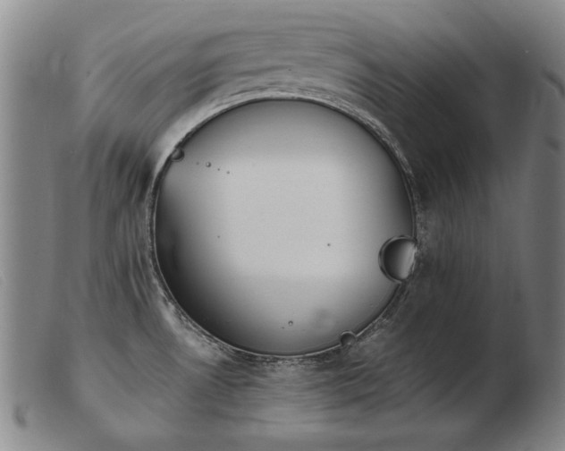 X0000103911530200809191250