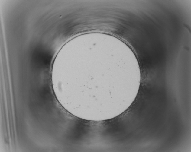 X0000103911532200809191250