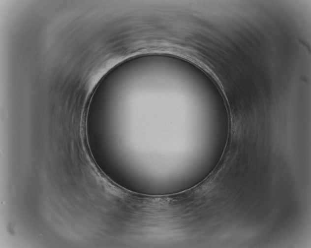 X0000103911533200809191250