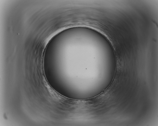 X0000103911534200809191250