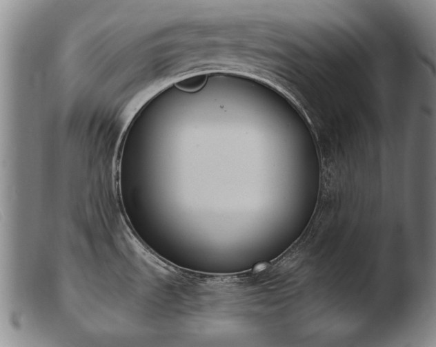 X0000103911535200809191250