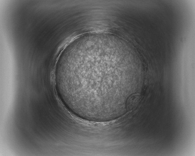 X0000103910002200809261619