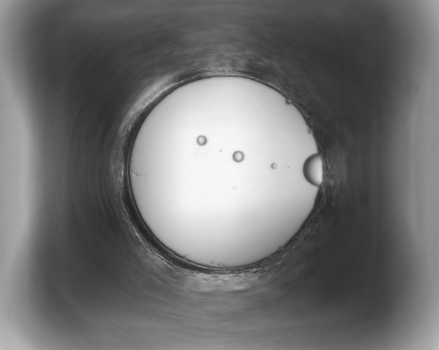 X0000103910005200809261619