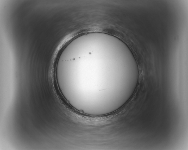 X0000103910006200809261619