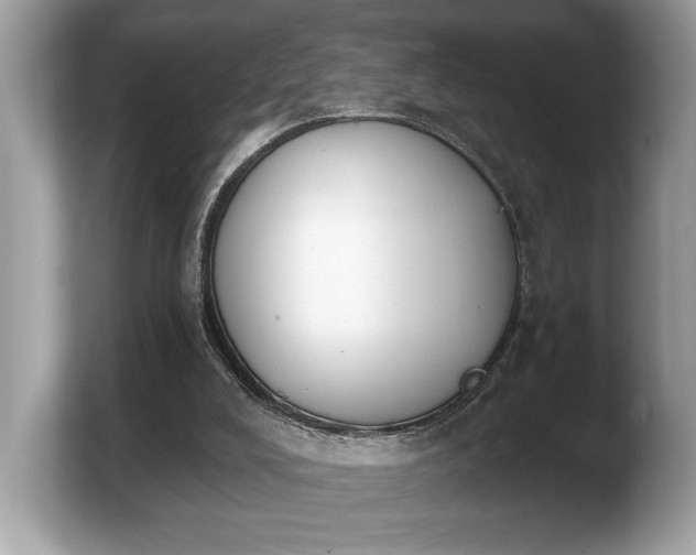 X0000103910008200809261619
