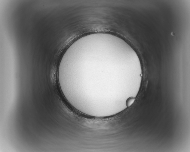 X0000103910009200809261619