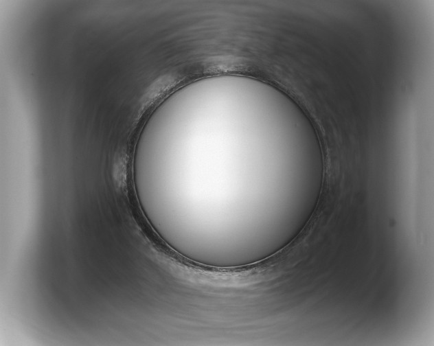 X0000103910010200809261619
