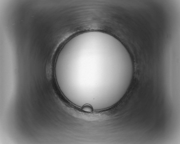 X0000103910012200809261619