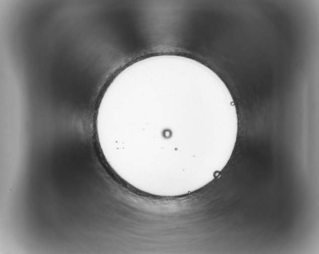 X0000103910015200809261619