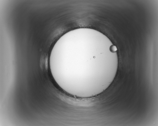 X0000103910019200809261619